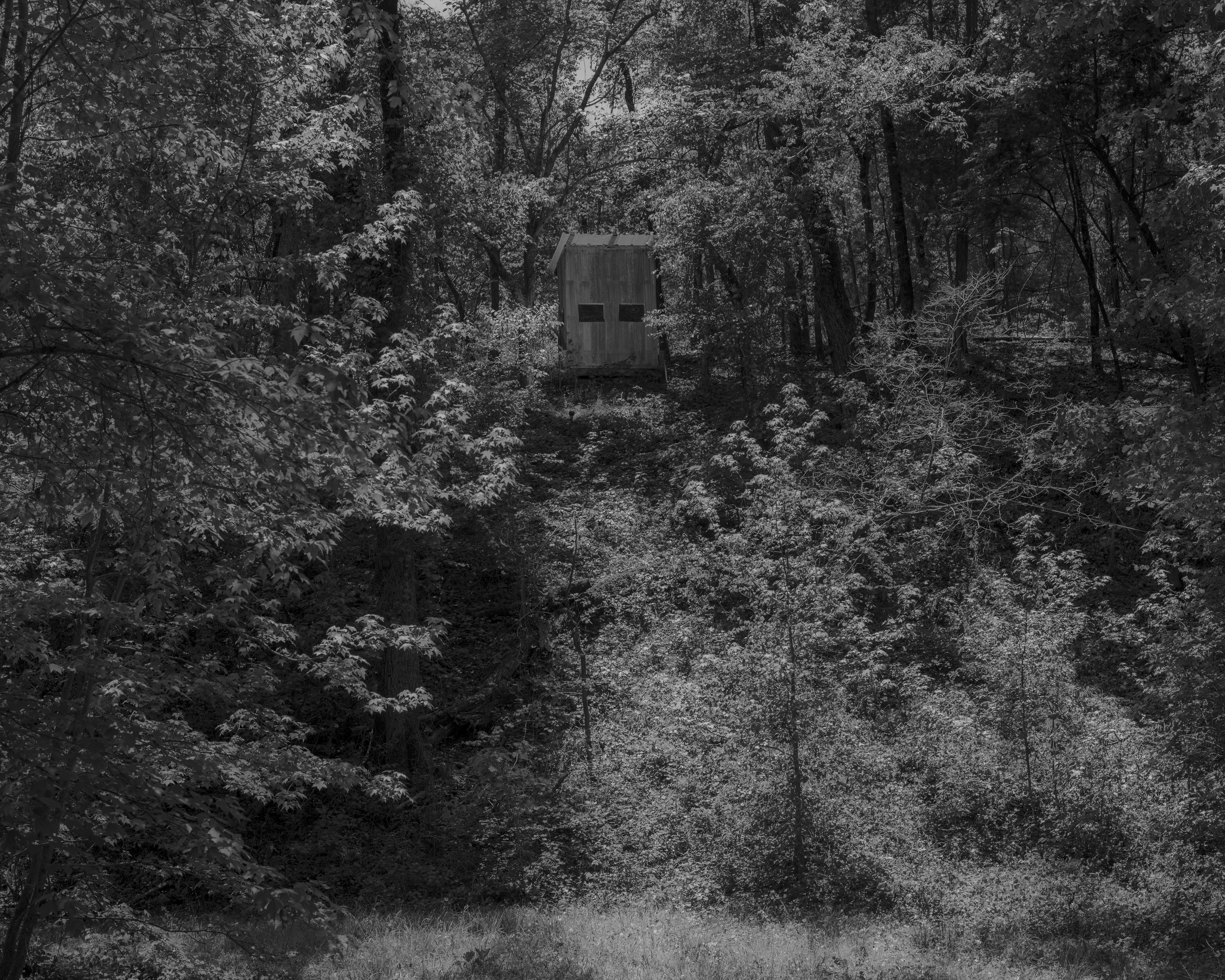 Houston Cofield, Deer Stand No. 1, 2020, Archival Inkjet Print, Attribution: Fierce Refuge