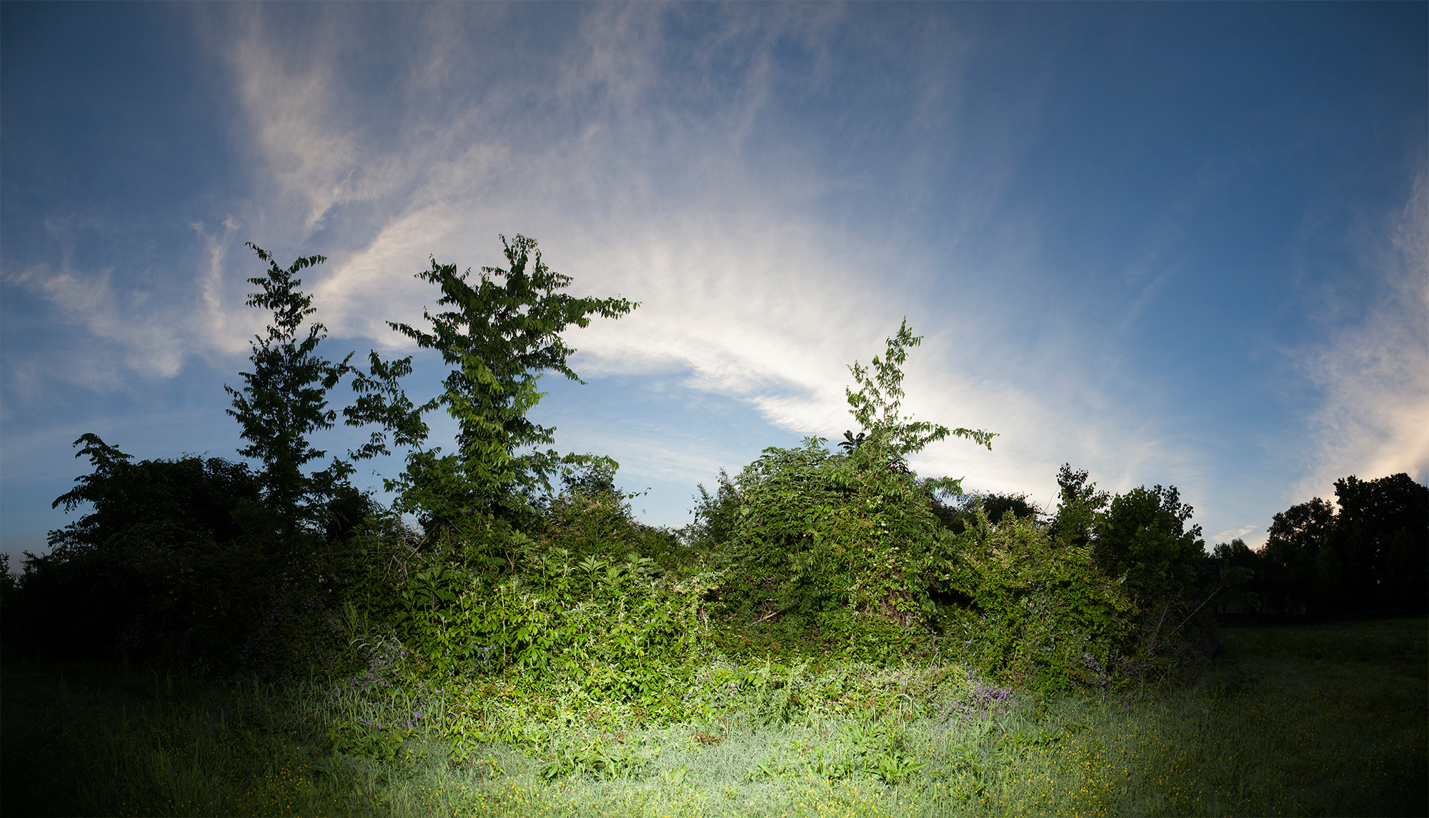 Coriana Close, Levi McCoy Cemetery, 2013