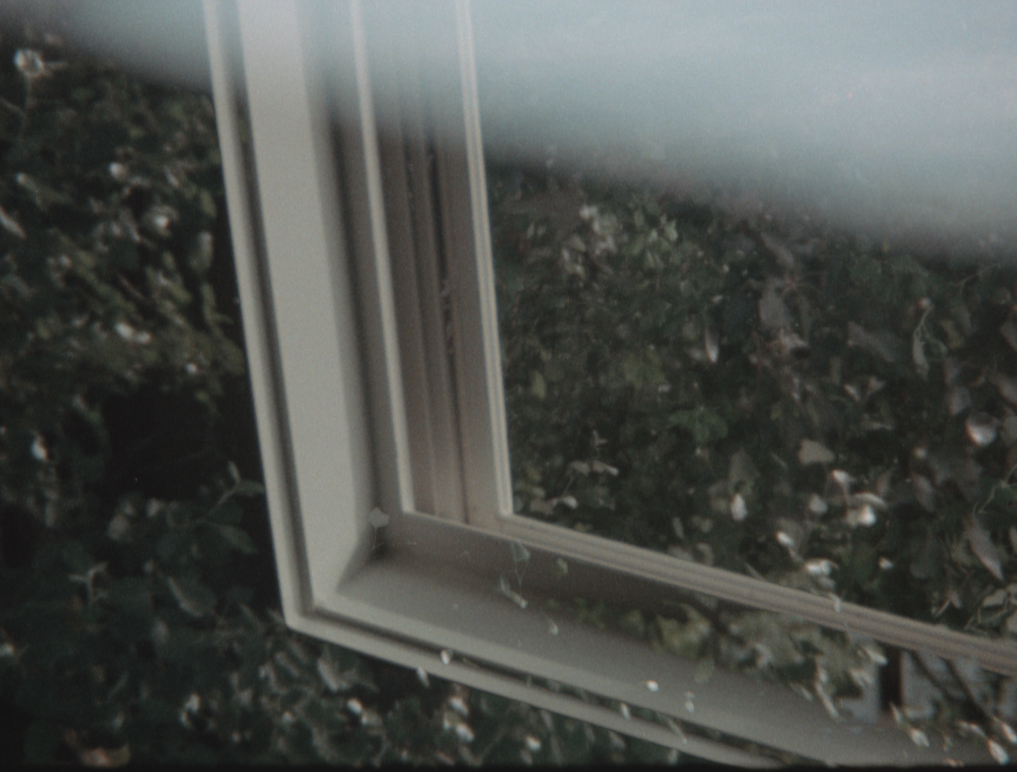 John Warren, Vestige, (video still), 16mm film, 2015