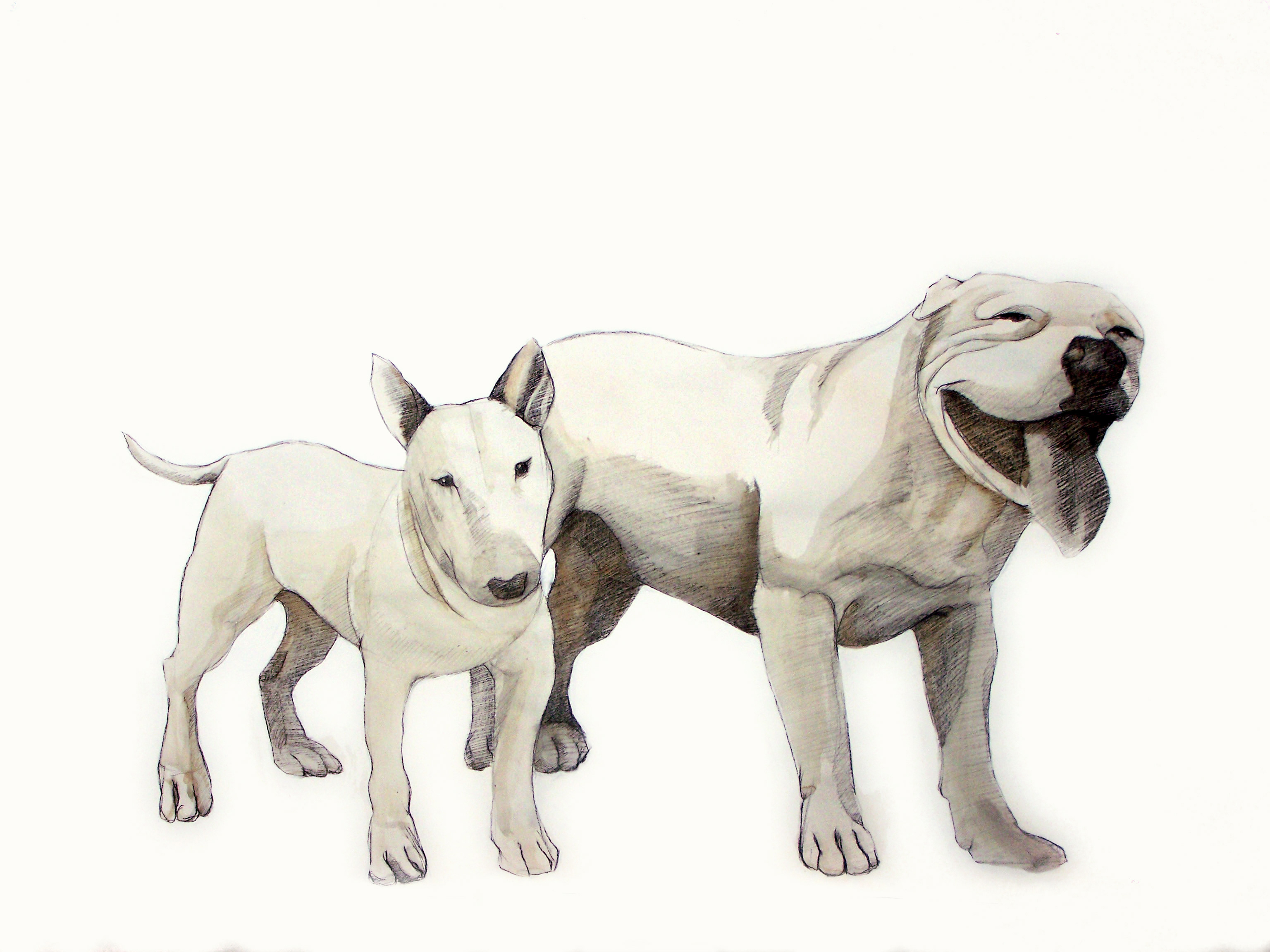 Dog Days, 36" x 580", charcoal, gesso & blood on paper