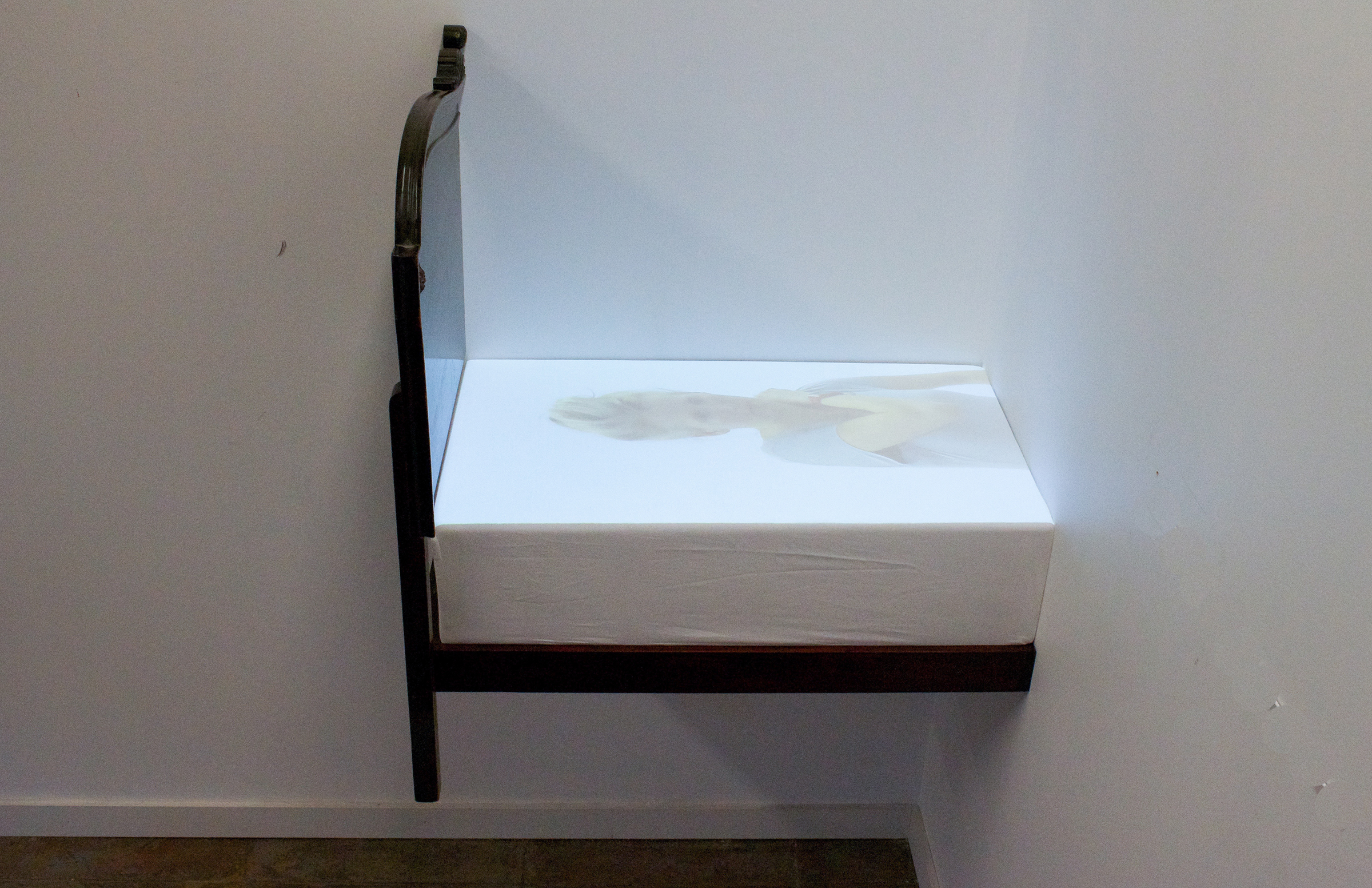 Emily Bivens, Embed - object, Live Feed Video, Projection, 2015 (*also seen in header image)
