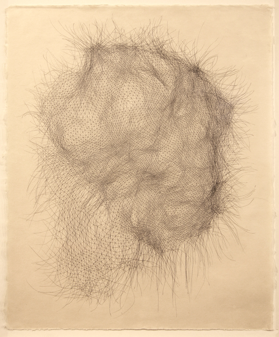 Ben Butler, Invention #81, 2017, ink on paper, 20" x 16"