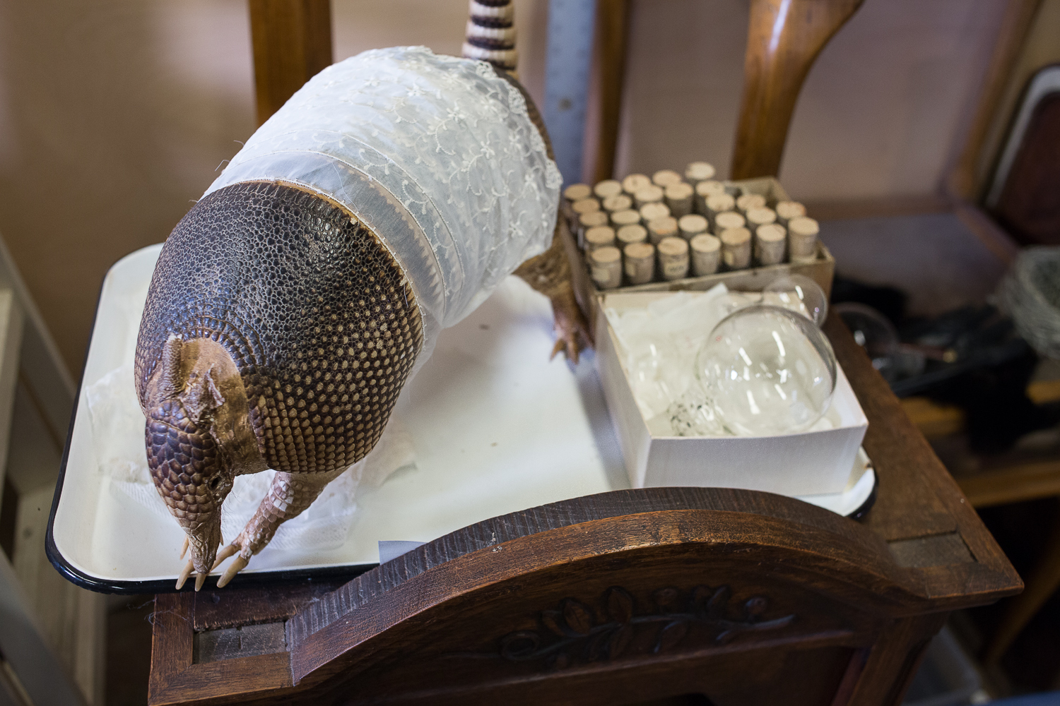 Emily Bivens, Studio Visit, June 2019 (photo: Tracy Treadwell) Emily Bivens, Studio Visit, June 2019 (photo: Tracy Treadwell)