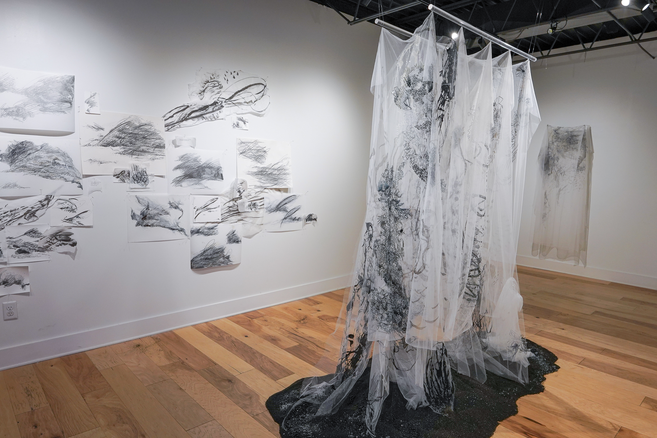 Laura Cleary Williams