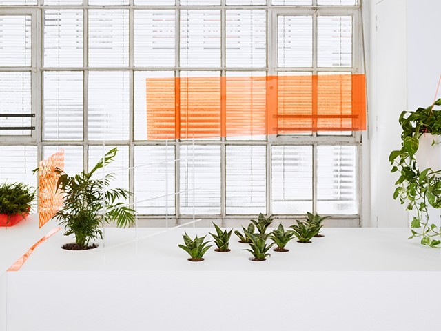 Vanessa Mayoraz, Infrastructure. Styrofoam, plants, soil, various plastics, and mixed media, 2015. Vanessa Mayoraz, Infrastructure. Styrofoam, plants, soil, various plastics, and mixed media, 2015.