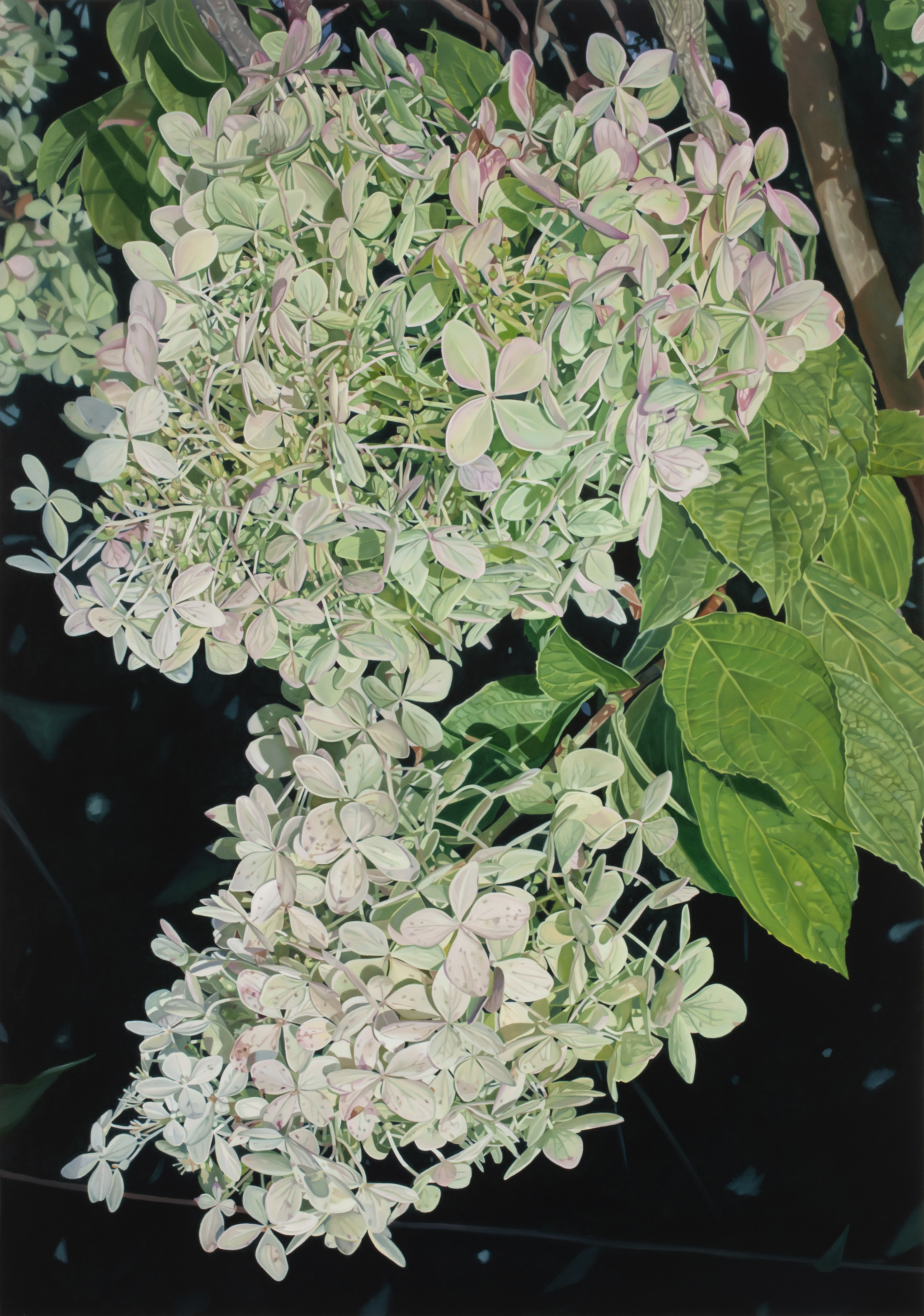 Beth Edwards, Hydrangea XXVII, 2024, oil on canvas, 60" x 42"