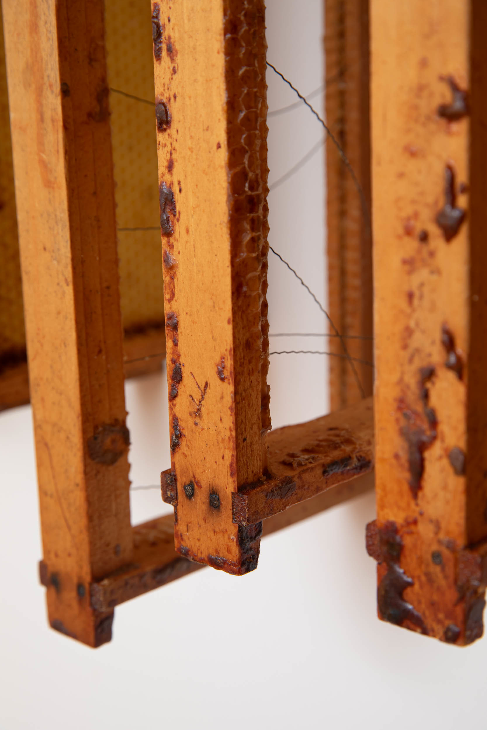 Jennifer Pepper, Orchard (detail), 2023, used wood bee hive frames, wax, propolis, pigment, 15" x 47" x 7"