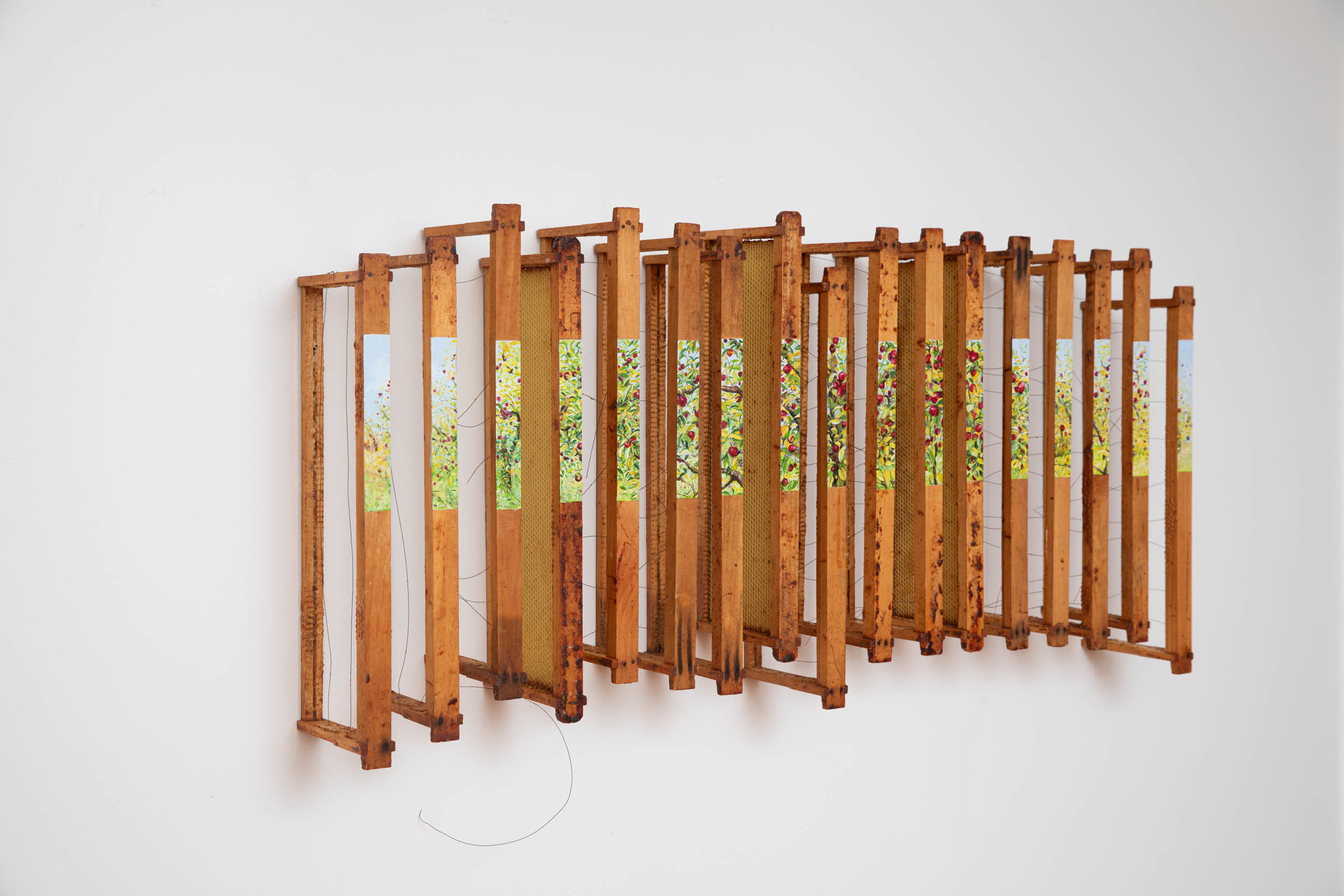 Jennifer Pepper, Orchard, 2023, used wood bee hive frames, wax, propolis, pigment, 15" x 47" x 7"