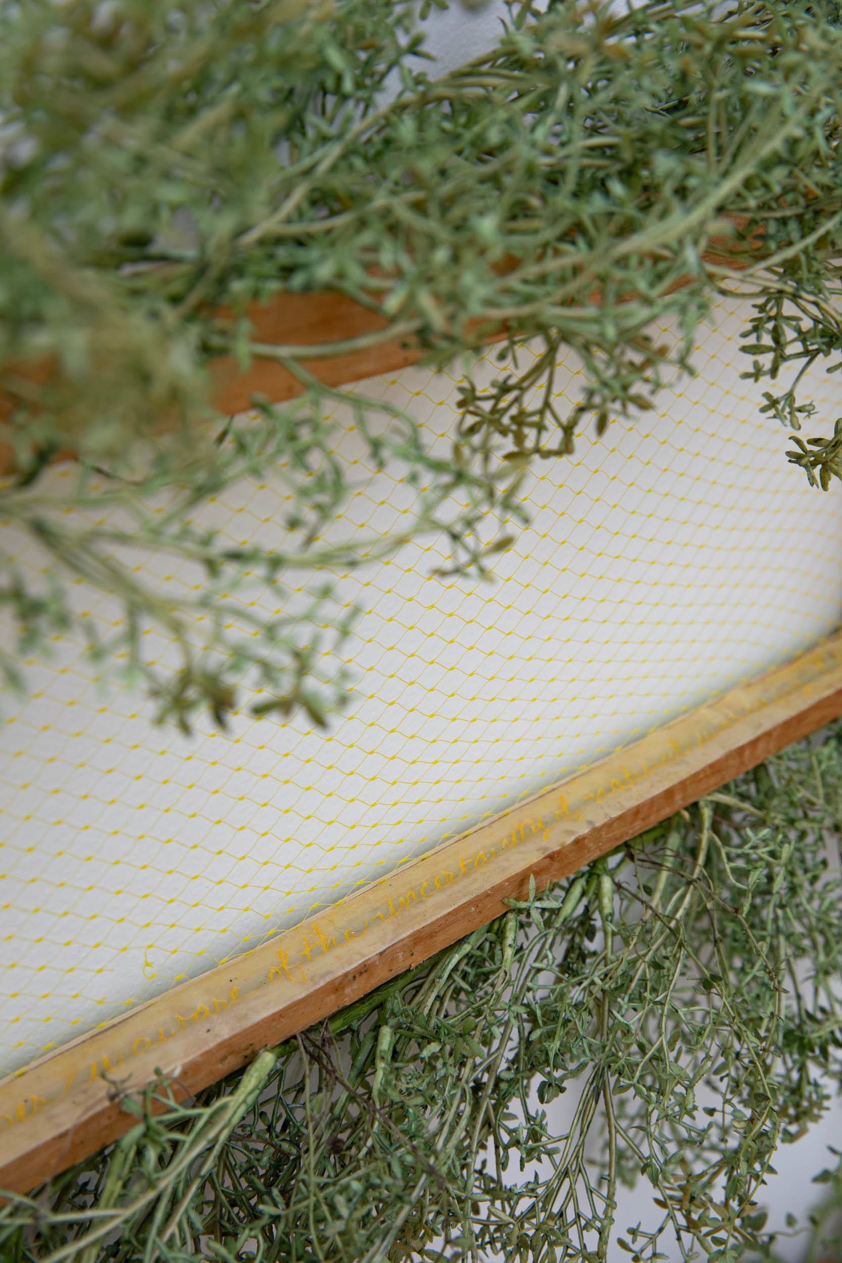 Jennifer Pepper, Wild Empties (detail), 2017, thyme, plastic, beeswax, pigment, wood, 81" x 28" x 7"