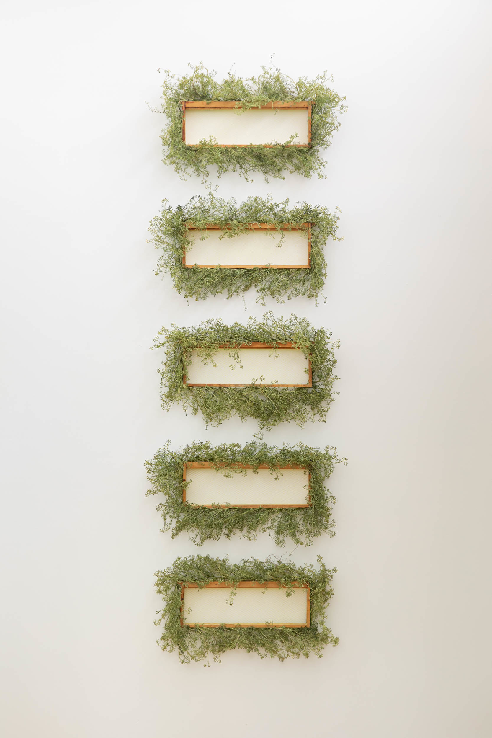 Jennifer Pepper, Wild Empties, 2017, thyme, plastic, beeswax, pigment, wood, 81" x 28" x 7"