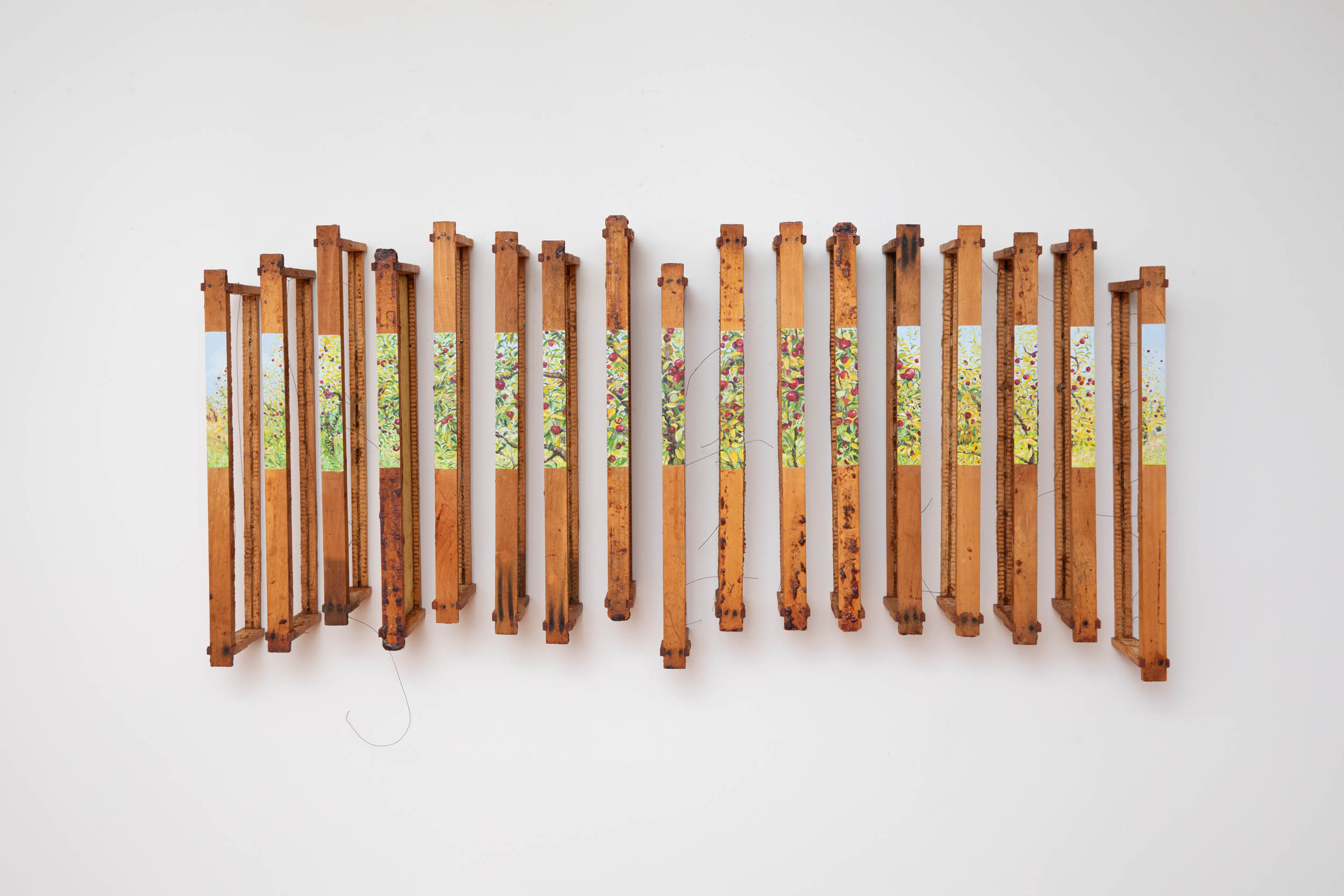 Jennifer Pepper, Orchard, 2023, used wood bee hive frames, wax, propolis, pigment, 15" x 47" x 7"