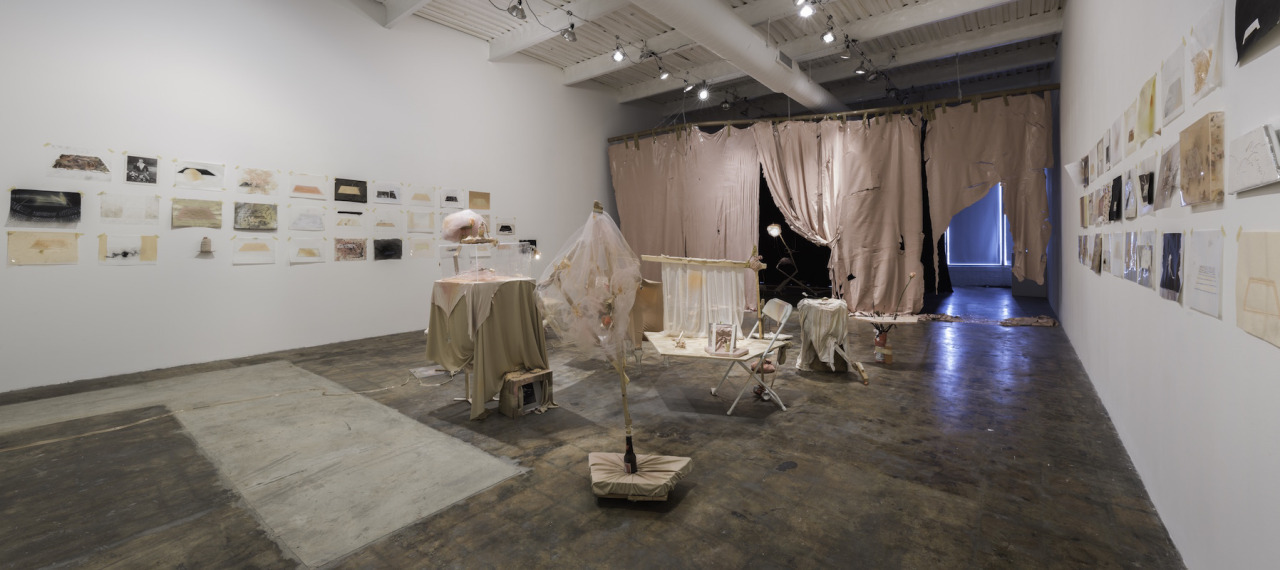 Joel Parsons, You Are The Hole. - Installation View, Crosstown Arts, Memphis (2015)