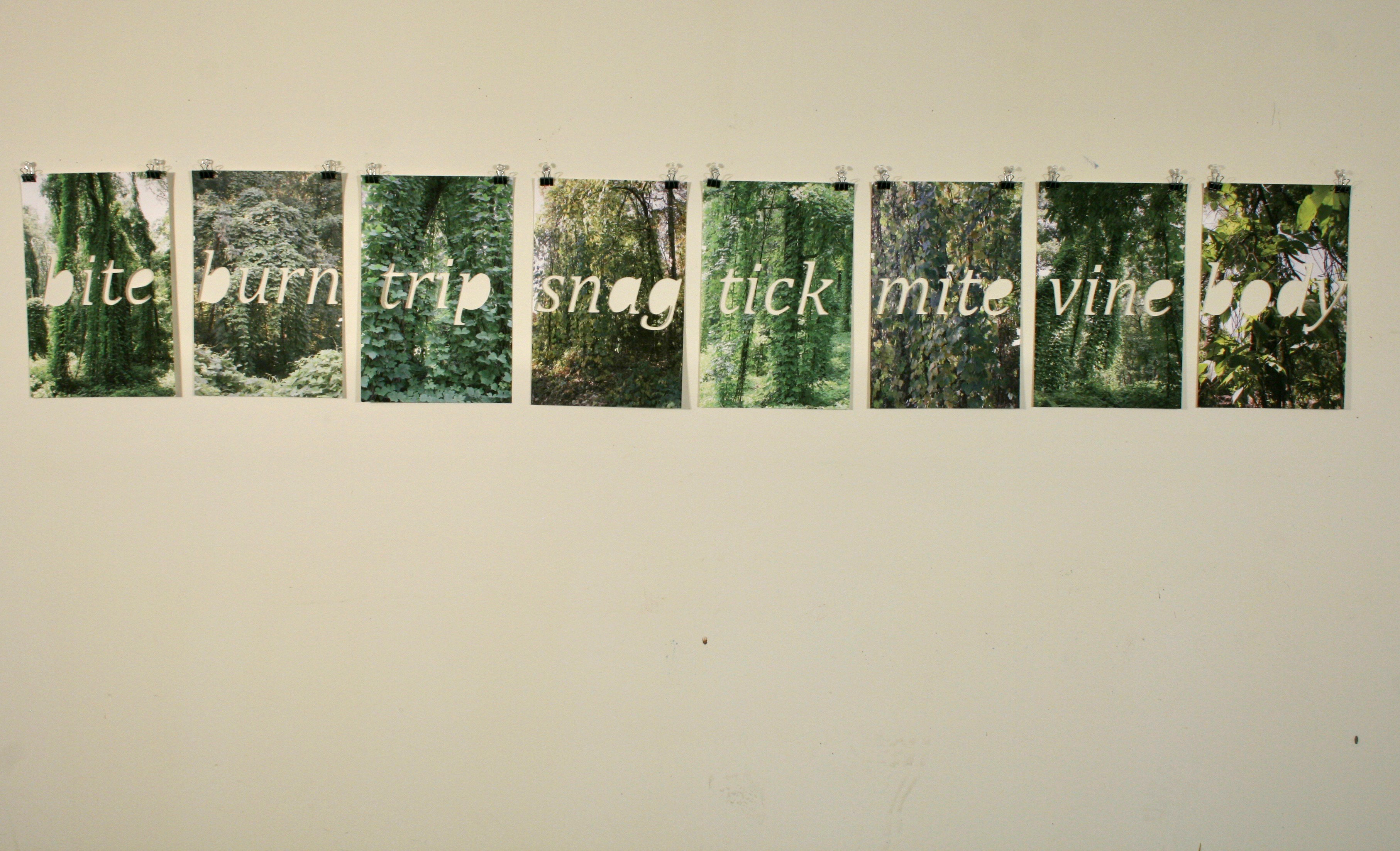 Jeffrey Morton, Landscape Nouns and Verbs: bite, burn, trip, snag, tick, mite, vine, body, 2015, cut digital print, 13.25" x 9"