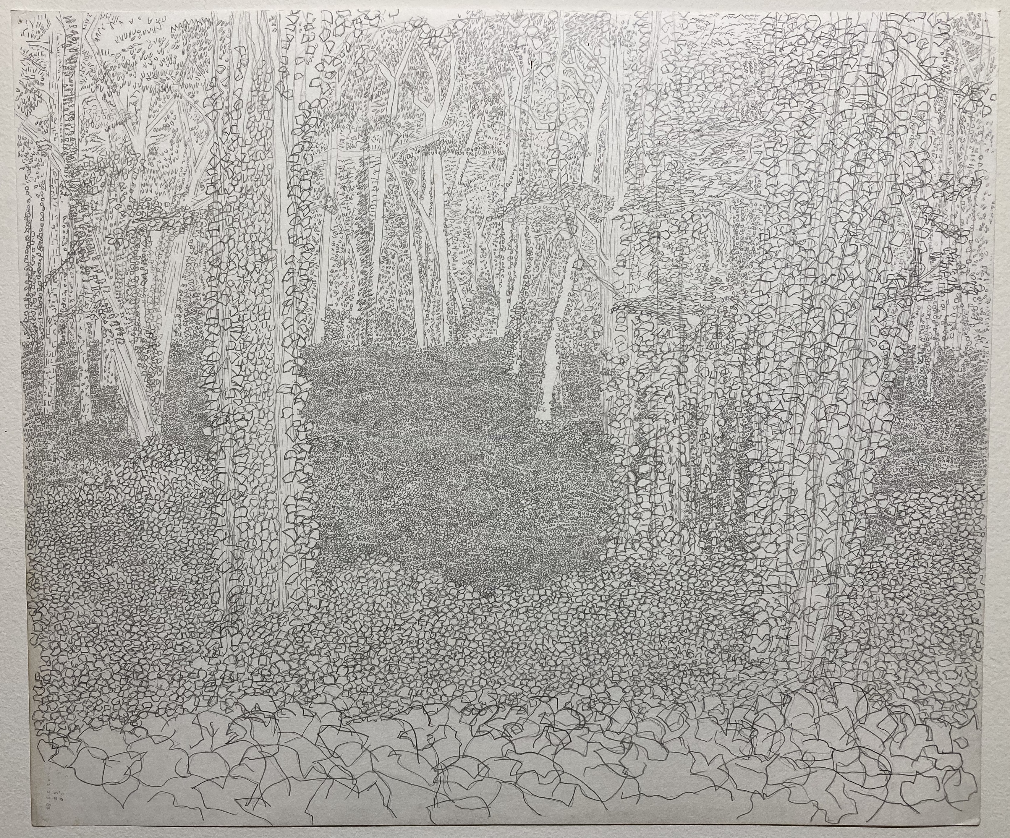 Jeffrey Morton, Kudzu drawing 031, 07:46:00 (source for Misted Green), 2016, graphite on Holbein paper, 16.5" x 21"