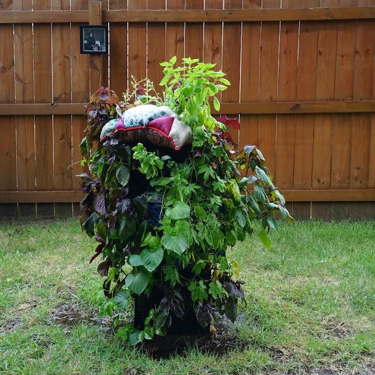 Sharon Havelka, Wait Still, 2026, milk crates, garden plants, photo, 44” x 20” x 20”