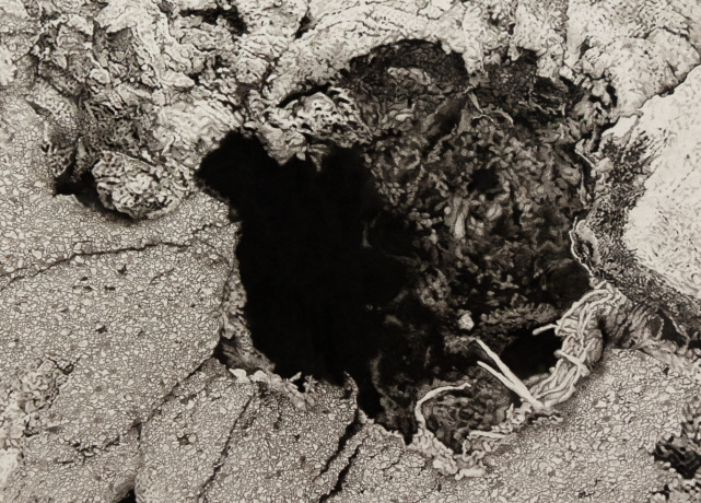 Sarah Elizabeth Cornejo: The Scarcity of Sand